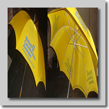 Flags Penns (6)
