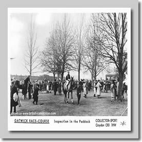 The Paddock at Gatwick
